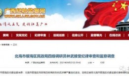 北海爆料热点新闻视频,最新热点新闻视频深度解析