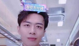 糖瓜网红爆料视频大全集,揭秘幕后真相与热门话题